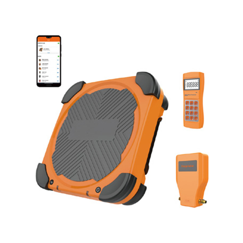 LMC-310 Digital Electronic Scales