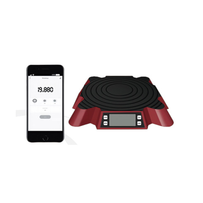 RCS-100PRO Digital Electronic Scales