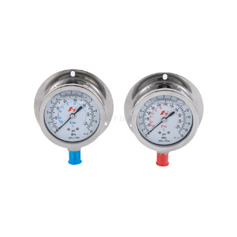 Pressure Gauge