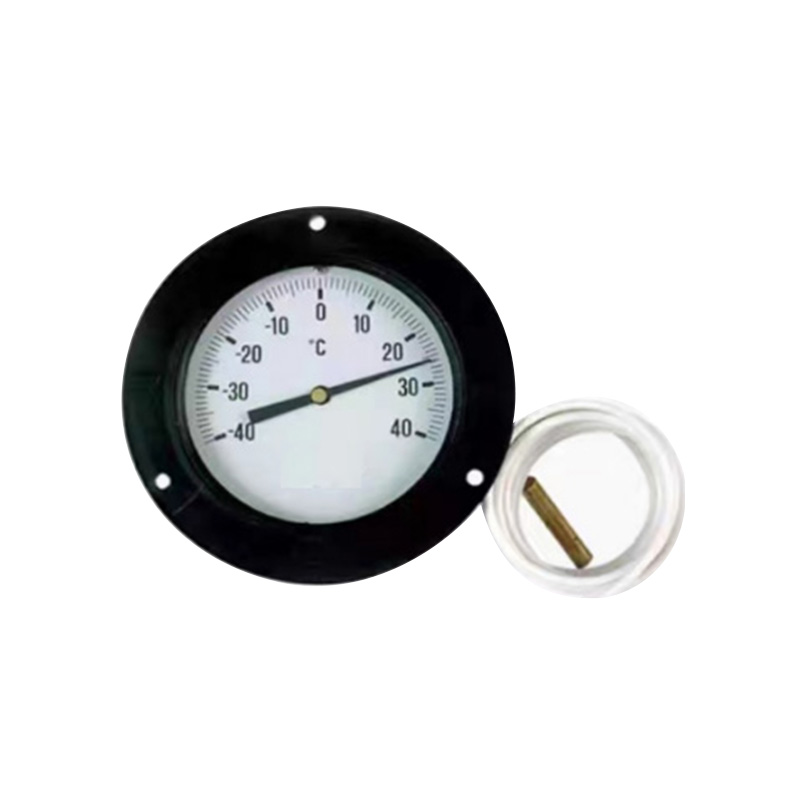 BK-60D1.5 Temperature Panel Meter